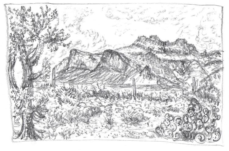 Drawing 1